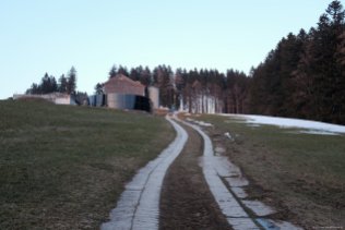 Rundgang Steineggwald